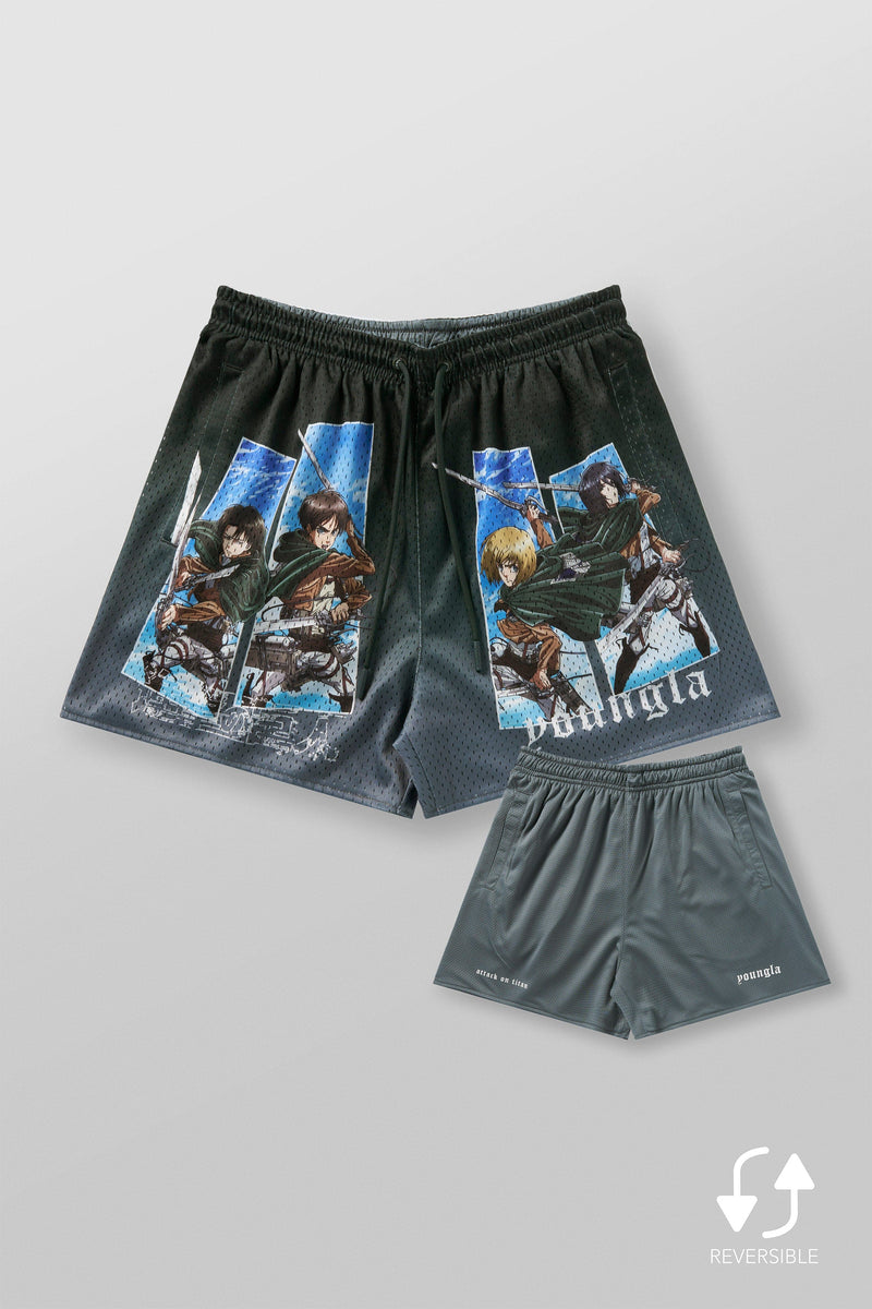 Pantalones cortos de malla AOT